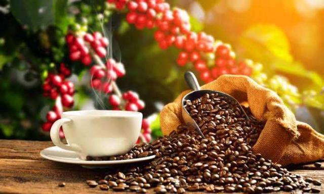 Kahvede Küf Bulunur Mu? Küf Sağlığa Zararlı Mıdır, Nasıl Önlenebilir?