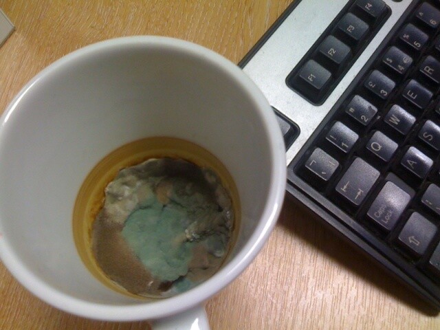 Kahvede Küf Bulunur Mu? Küf Sağlığa Zararlı Mıdır, Nasıl Önlenebilir?