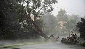 Fırtınalar, Fırtına Çeşitleri ve Süper Hücreler