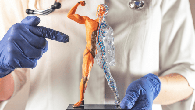 Damarları Temizleyen Besinler Hangileridir?