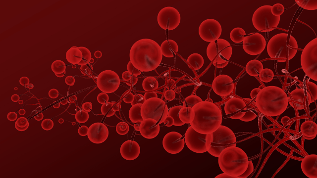 Damarları Temizleyen Besinler Hangileridir?