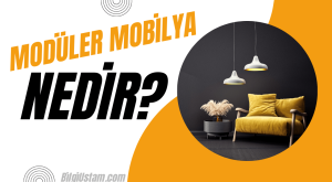 Modüler Mobilya Nedir?