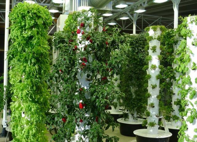 Yeşil Teknoloji Nedir? Nasıl Çalışır, Faydaları, Türleri ve Örnekleri