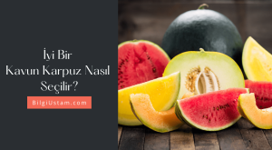 İyi Bir Kavun Ve Karpuz Nasıl Seçilir?