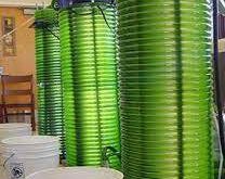 Mikroalglerden Biyoyakıt Üretimi ve Elde Edilen Biyoyakıtlar