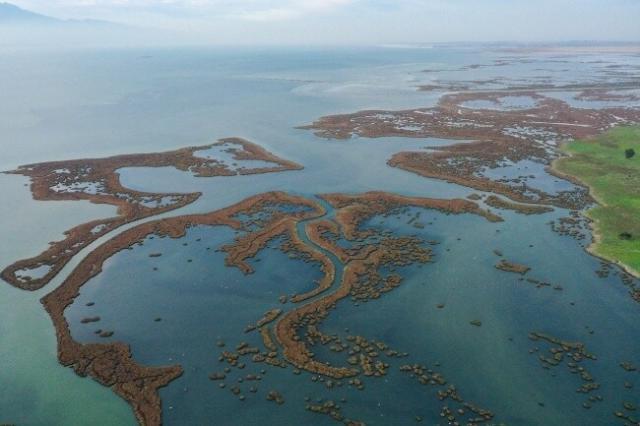 Sulak Alan Ekosistemleri ve Sulak Alanların Önemi