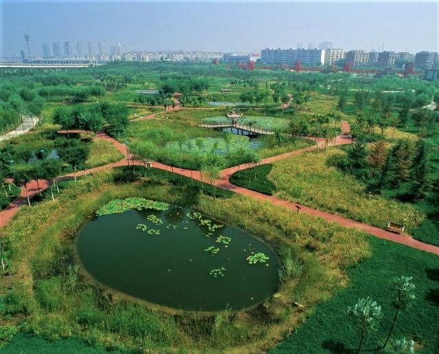 Sulak Alan Ekosistemleri ve Sulak Alanların Önemi