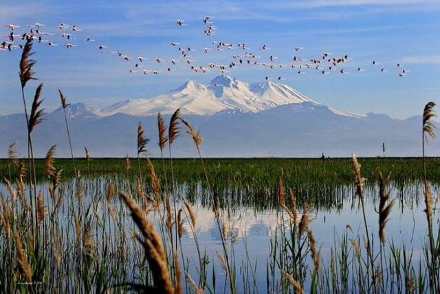 Sulak Alan Ekosistemleri ve Sulak Alanların Önemi