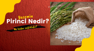 Yasemin Pirinci Nedir? Tüketimi Ne Kadar Sağlıklıdır?