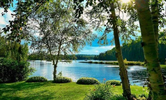 Su Ekosistemleri, Çeşitleri ve İşlevleri