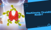 Hashimoto Tiroiditi: Belirtileri, Tedavisi ve Yönetimi