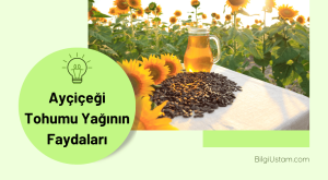 Ayçiçeği Tohumu Yağının Faydaları