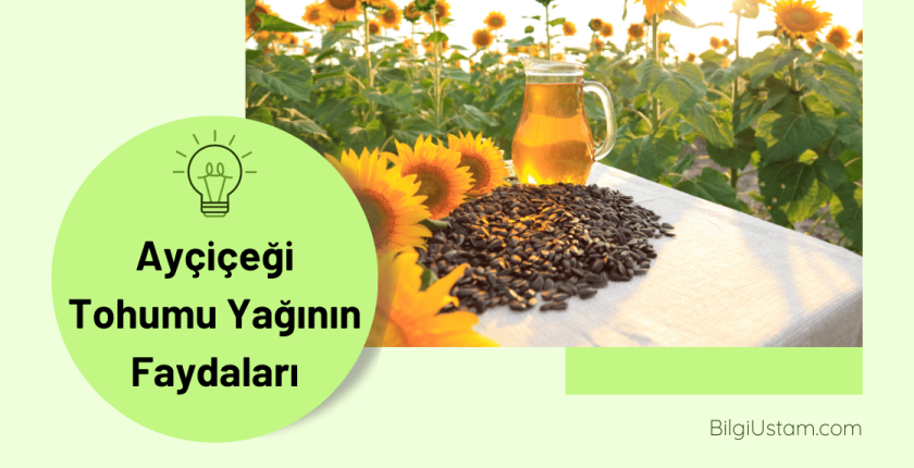 Ayçiçeği Tohumu Yağının Faydaları