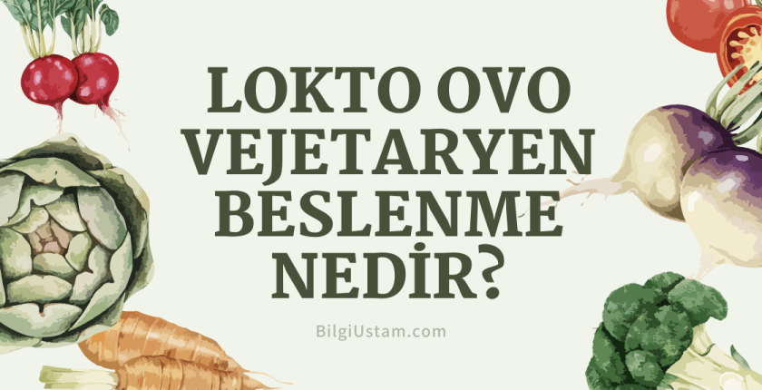 Lokto Ovo Vejetaryen Beslenme Nedir?
