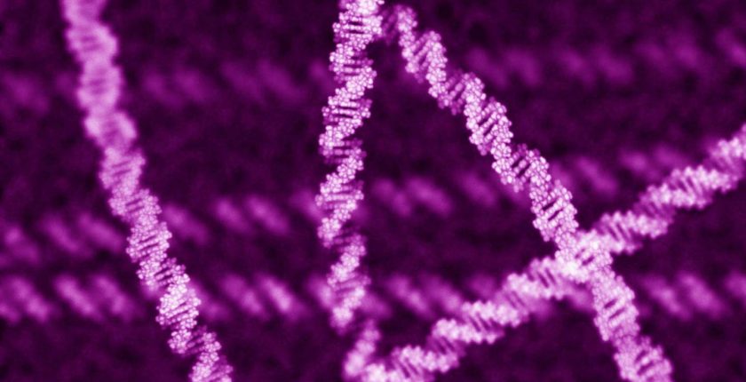 Genom Veritabanı Nedir?