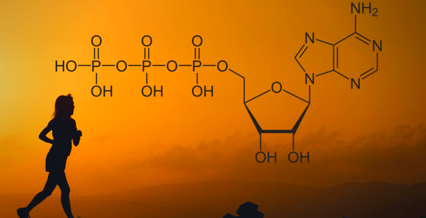 Anaerobik Sistem Nedir?