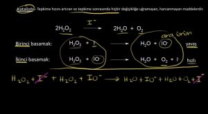 Homojen Katalizör Nedir?