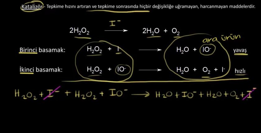 Homojen Katalizör Nedir?