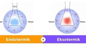 Ekzotermik Reaksiyonlar Nedir?