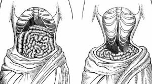 Tenya Diyeti Nedir ve Nasıl Yapılır?