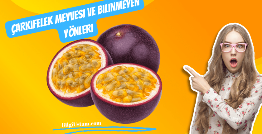 Çarkıfelek Meyvesi ve Bilinmeyen Yönleri