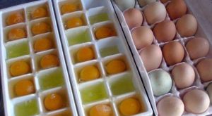 Yumurtalar Nasıl, Nerede ve Ne Kadar Süre Saklanabilir?