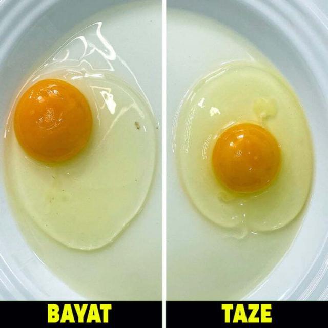 Yumurtaların Taze Olup Olmadığı Nasıl Anlaşılır? Yumurtada Gıda Güvenliği Nasıl Sağlanır?