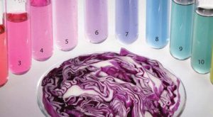 İndikatör Nedir? Evlerde ve Bahçelerde Bulunabilen Doğal pH İndikatörleri Nelerdir?