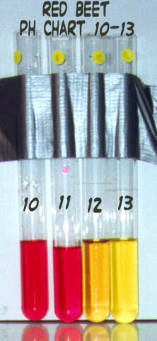 İndikatör Nedir? Evlerde ve Bahçelerde Bulunabilen Doğal pH İndikatörleri Nelerdir?