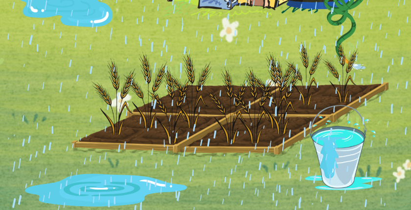 Yağmur Suyu Hasadı Nedir?