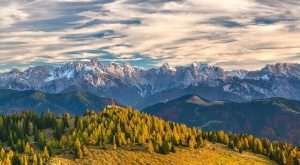 Dağlar ve Alpin (Yüksek İrtifa) Yaşam Kuşakları