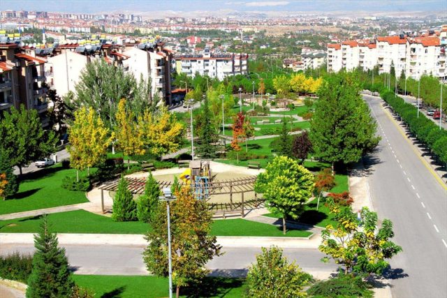 Ağaç Dikmenin Faydaları Nelerdir? İnsanlar ve Şehirler İçin Ağaçlar Neden Bu Kadar Önemlidir?