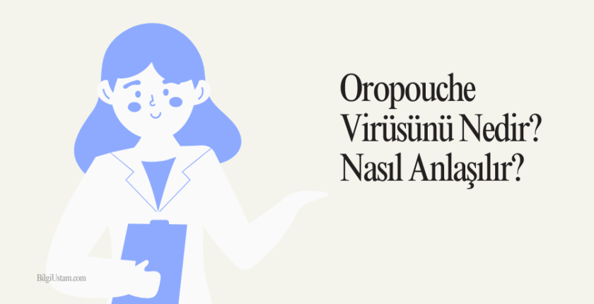 Oropouche Virüsünü Nedir? Nasıl Anlaşılır?