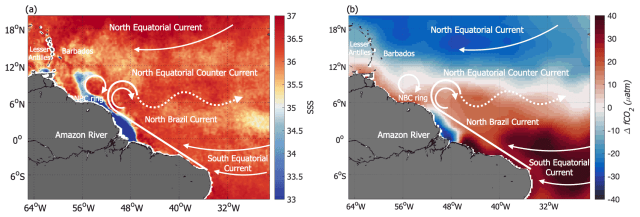 Cabot Halkaları Nedir?