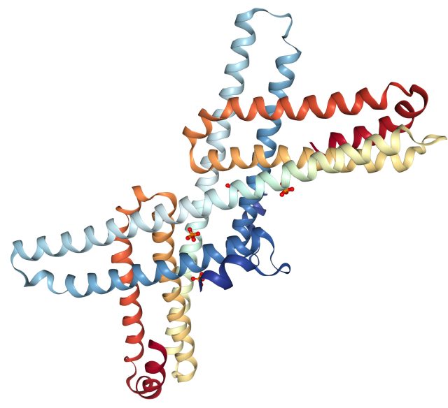 Aplp1: Parkinson Hastalığında Hücreler Arası Yayılımda Oynadığı Rol