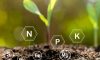 Temel Bitki Besinleri, Birincil Makro Besinler (NPK)