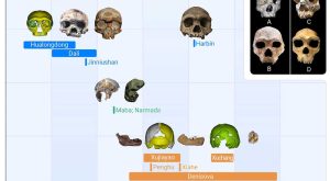 Denisovalı Ne Demektir?