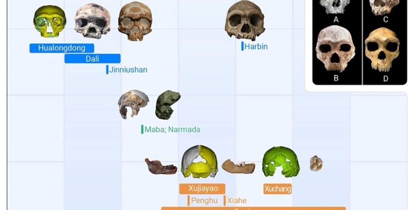 Denisovalı Ne Demektir?