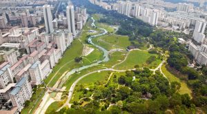 Bishan-Ang Mo Kio Park Nasıl Bir Yerdir?
