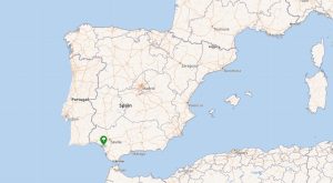 İspanya’da Eşsiz Bir Park: Coto Donana Nasıl Bir Yerdir?