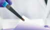 Western Blot Nedir?