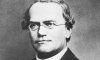 Gregor Johann Mendel Kimdir?
