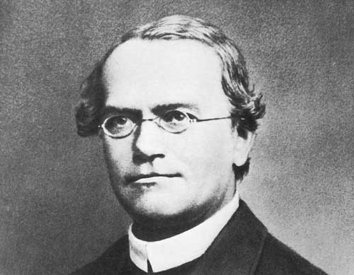 Gregor Johann Mendel Kimdir?