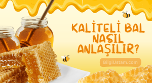Kaliteli Bal Nasıl Anlaşılır?