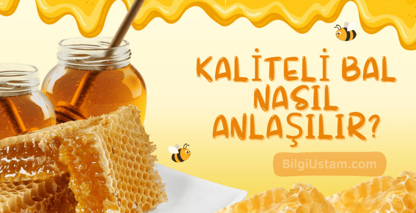 Kaliteli Bal Nasıl Anlaşılır?