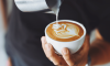 Barista ve Bartender Kimdir? İki Özel Meslek