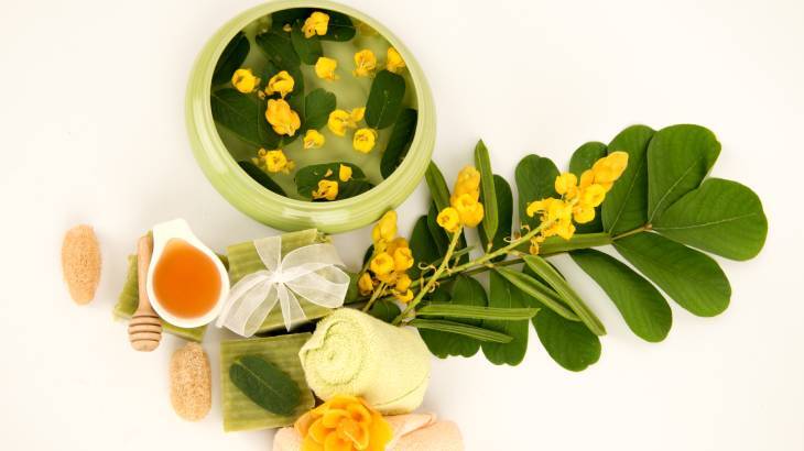 Sinameki Nedir? Sinamekinin Faydaları Nelerdir?