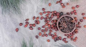 Ardıç Tohumu Faydaları Nelerdir?