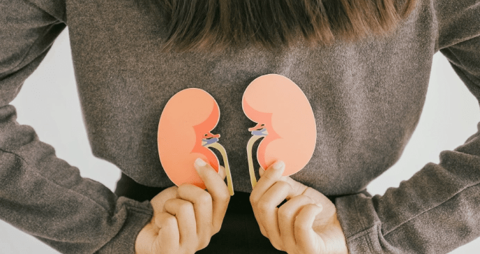 Böbrek Küçülmesi Neden Olur?