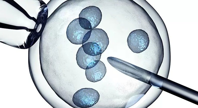 Yumurta Tembelliği Nedir?